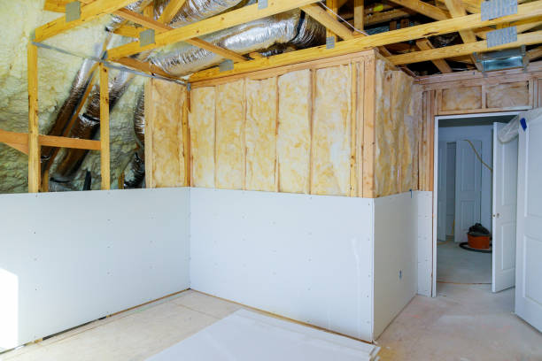 Best Eco-Friendly or Green Insulation Solutions  in Portland, TX